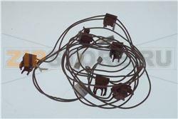 GR MCRINTRR SRV596.1 