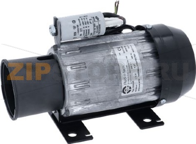MAGNETIC MOTOR 150W 