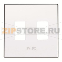 Накладка для 2хUSB зарядного устройства, альпийский белый ABB 2CLA858530A1101