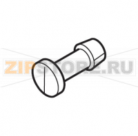 Perno sportello dosatore grigio Saeco Royal Digital