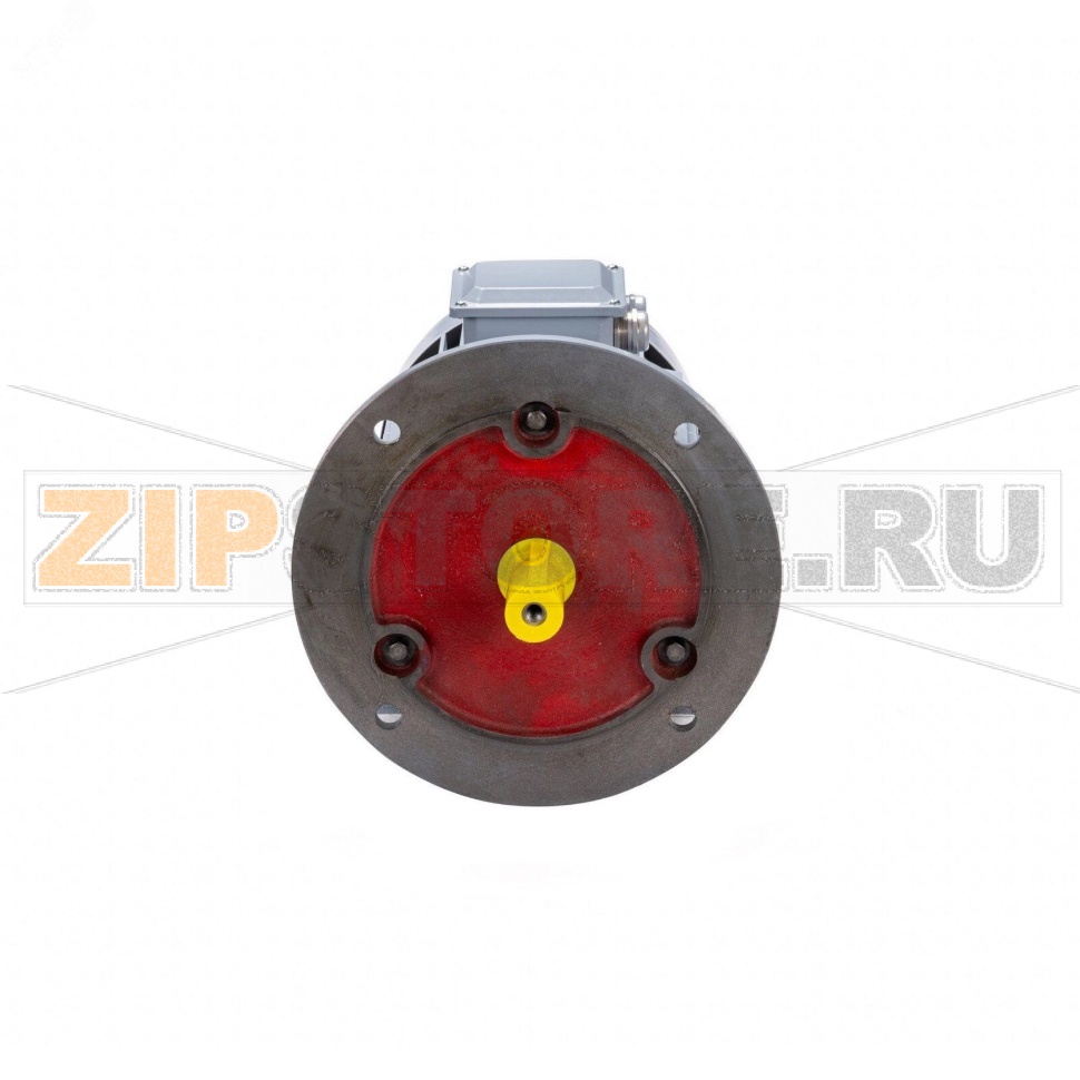 Электродвигатель трехфазный 22 кВт, 380/660 В, 1000 об/мин, IP55 ESQ 01.01.223798 