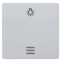 DELTA I-SYSTEM АЛЮМИНЕВЫЙ МЕТАЛЛИК ВЫКЛЮЧАТЕЛЬ 1 КЛАВИША С ОКНОМ И СИМВОЛОМ "СВЕТ" 55X55MM Siemens 5TG6246