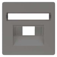 DELTA I-SYSTEM  ЧЕРНЫЙ МЕТАЛЛИК КРЫШКА СИСТЕМНОЙ РОЗЕТКИ CAT.3+5/ BTR CAT.6 55X55MM С ПОЛЕМ ДЛЯ ПОМЕТОК Siemens 5TG1228