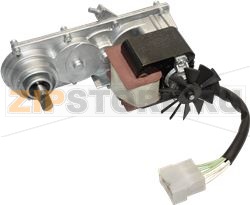 GEAR MOTO KENTA K9357514 