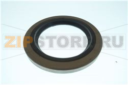 lip seal 