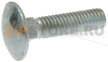 VITE A TESTA TONDA M6x20 