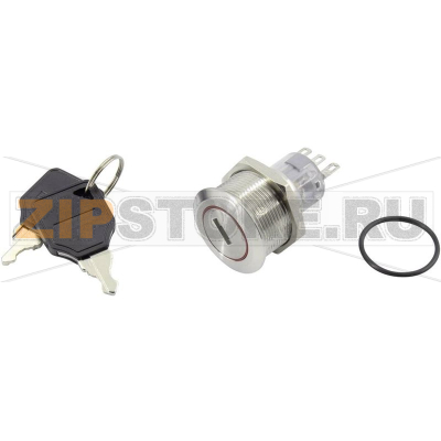 Выключатель с ключом 250 В, 5 А, 1 x выкл/вкл, 1x90°, IP40 TRU Components TC-GQ22-A-11Y/21/S203 