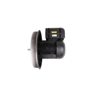 Электродвигатель 22 кВт, 2940 об/мин Weishaupt W-D160/240-2/22K0