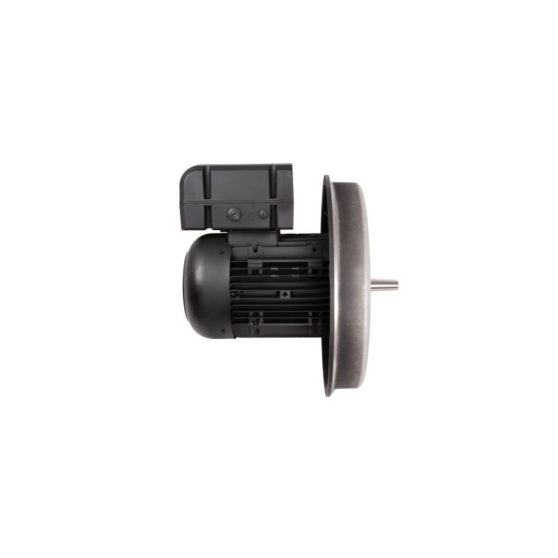 Электродвигатель 22 кВт, 2940 об/мин Weishaupt W-D160/240-2/22K0 