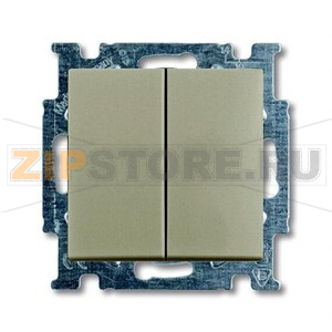 Выключатель двухклавишный, шампань ABB 2CKA001012A2167 