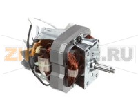 MOTOR (120V ONLY)