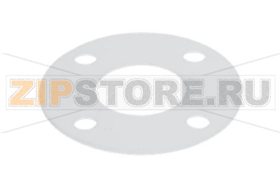 PTFE GASKET 