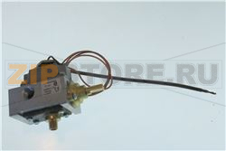 GAS THERMOSTAT 