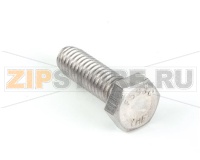 SCREW 5/16-18X1 HEX SS F