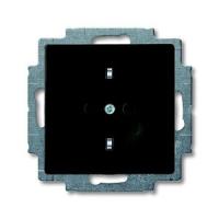 Розетка ABB 2CKA002011A6142