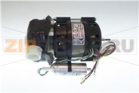 POMPA ACQUA GIRANTE 65 230V 50Hz