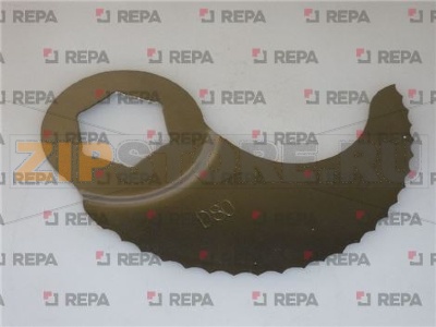 LAMA DENTATA RICURVA 