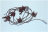 GR MICRO INTRR 6F PTS726