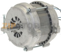 MOTORE 220V 50Hz
