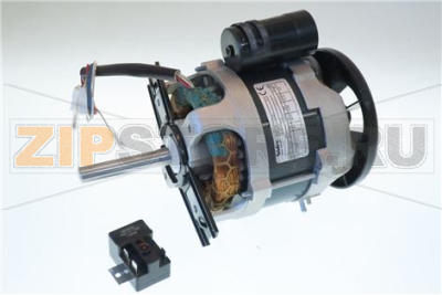 MOTOR LS BLX3D/4 230/50 