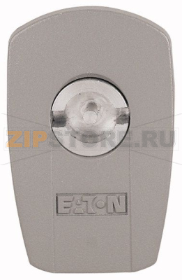 Замок для ключа с 2-мя прорезями, 3мм Eaton LC-DBIT3-CS 