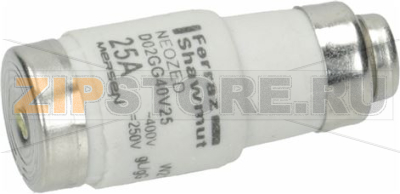 Fuse link 25A Neozed 