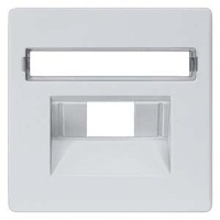 DELTA I-SYSTEM  АЛЮМИНЕВЫЙ МЕТАЛЛИК КРЫШКА СИСТЕМНОЙ РОЗЕТКИ CAT.3+5/ BTR CAT.6 55X55MM С ПОЛЕМ ДЛЯ ПОМЕТОК Siemens 5TG1258