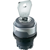 Выключатель с ключом, антрацитовый, 1x90°, 10 шт Schlegel RMCSSA17E