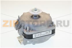 MOT.ASS.5W 230V PLUG IN 