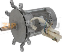 ЭЛЕКТРОДВИГАТЕЛЬ L9ZW84D-286 380/415 В