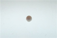 VALVE RUBBER MUSHROOM