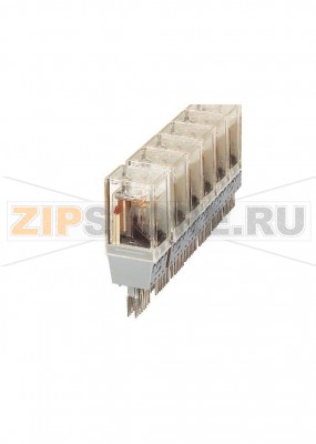 Штекерный модуль с реле Siemens-KAMMRELAIS ® Phoenix Contact ST-REL4-SG 60/21-21 материал контактов Ag: для коммутации средних нагрузок, 2 переключающих контакта, входное напряжение 60 В постоян. тока, со световым индикатором, устанавливается на блоки базовых клемм.Минимальный заказ: 10 шт.Упаковка: 10 шт.