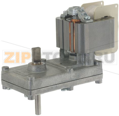 GEAR MOTOR 264A 6RPM 230V 50Hz 