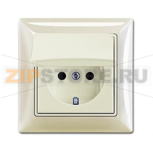 Розетка ABB 2CKA002018A1503 