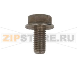 Декоративный винт M8x16 Rational Количество запчастей (комплектующих) Rational в оборудовании: 1 шт.