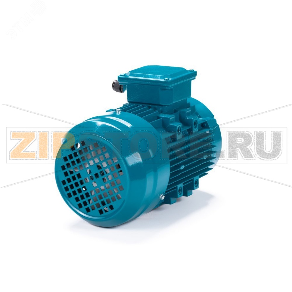 Электродвигатель асинхронный 0.75 кВт, 220/380 В, 3000 об/мин, 3 фазы, IP55 ESQ 01.05.222403 