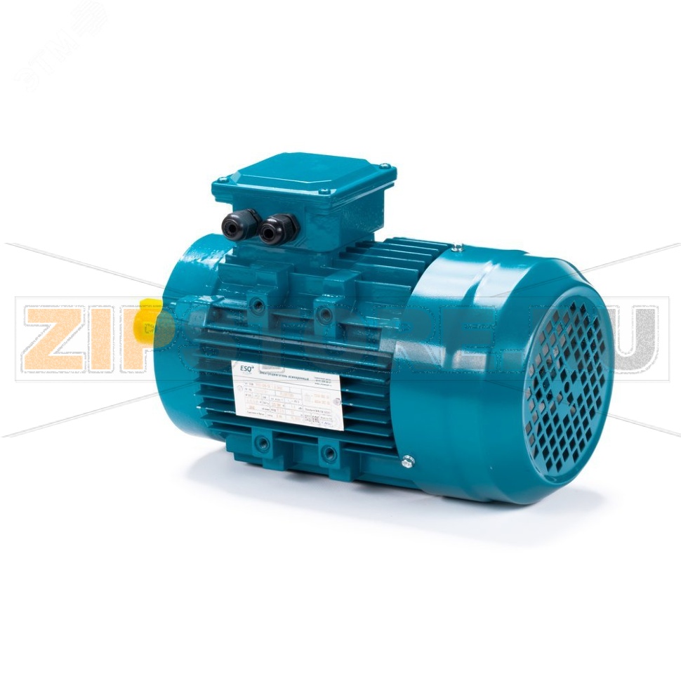 Электродвигатель асинхронный 0.75 кВт, 220/380 В, 3000 об/мин, 3 фазы, IP55 ESQ 01.05.222403 
