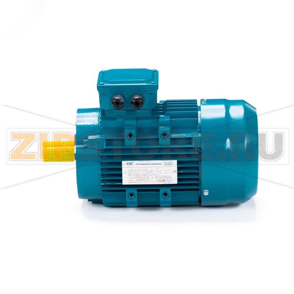 Электродвигатель асинхронный 0.75 кВт, 220/380 В, 3000 об/мин, 3 фазы, IP55 ESQ 01.05.222403 