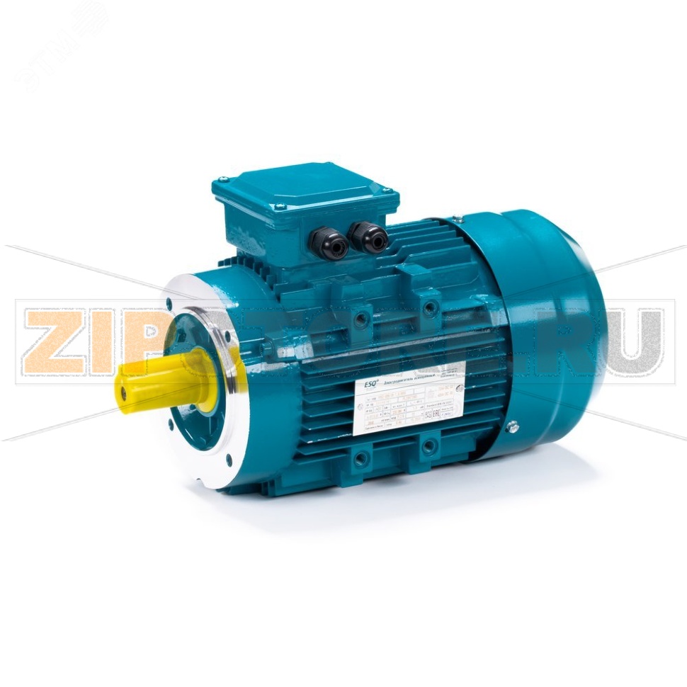Электродвигатель асинхронный 0.75 кВт, 220/380 В, 3000 об/мин, 3 фазы, IP55 ESQ 01.05.222403 