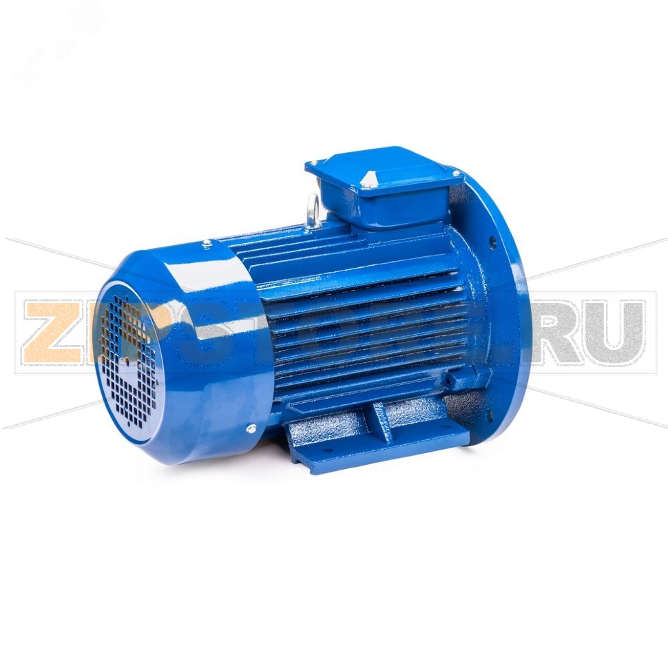 Электродвигатель 3 кВт, 220/380 В, 1500 об/мин ESQ 01.06.03.221746 