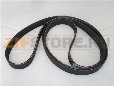 РЕМЕНЬ J1956 9 GOLE H 24 MM 