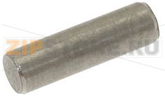 SPINA CILINDRICA INOX 5x17 mm 