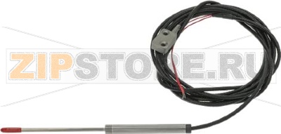 PENETRATION PROBE MOD.PT100 