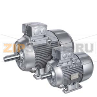 Низковольтный электродвигатель SIMOTICS GP TYPE: 1AV2164A Low-voltage motor, IEC Squirrel-cage rotor, self-ventilated, IP55 Temperature class 155(F) according to 130(B) aluminum housing High Efficiency IE2 (50Hz/60Hz) 2-pole * Size 160L, *18.5kW (50Hz/60H