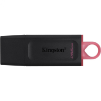 Накопитель USB 256 Гб, USB-C Kingston DTX/256GB