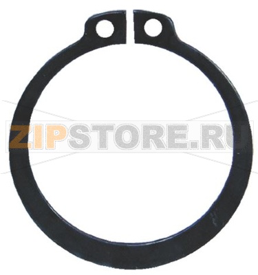 SEEGER ELASTICO E-36 