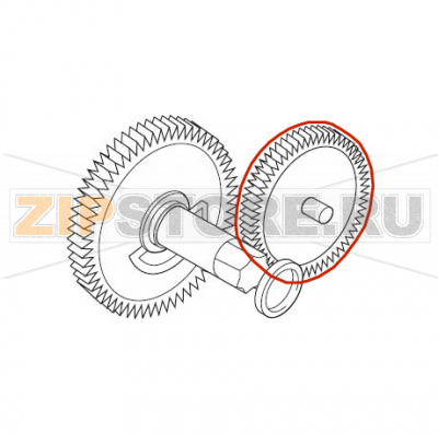 Ingranaggio z=12/90 Saeco Royal Digital Plus Ingranaggio z=12/90 Saeco Royal Digital Plus

Запчасть на сборочном чертеже под номером: 14

Название запчасти на итальянском языке: Ingranaggio z=12/90 Saeco Royal Digital Plus
