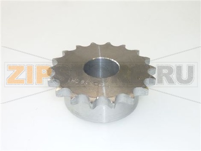 PIGNONE ALBERO SUPERIORE Z18 1/2 