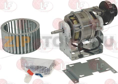MOTORE 220/240V 50Hz 