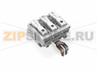 Lighting connector; push-button, external; for Linect®; with snap-in ground contact; 3-pole; Cod. A; Lighting side: for solid conductors; Inst. side: for all conductor types; max. 2.5 mm; Surrounding air temperature: max 85°C (T85); 2,50 mm; white Wago